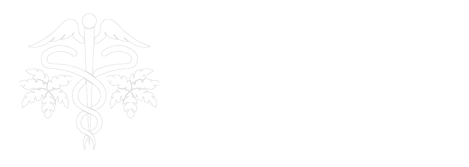 Southern Shores Family Care White Logo
