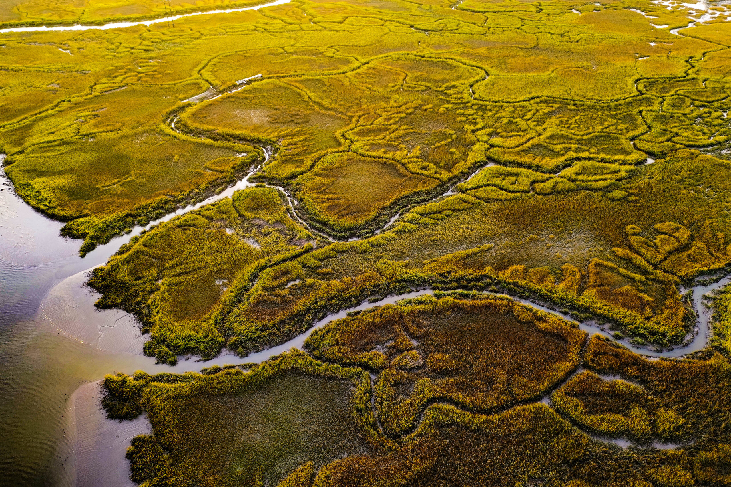 Aerial shot of the local marshes